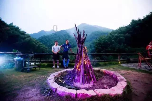 太逗了!妈妈把家里养了2年多的狗打包成嫁妆做陪嫁