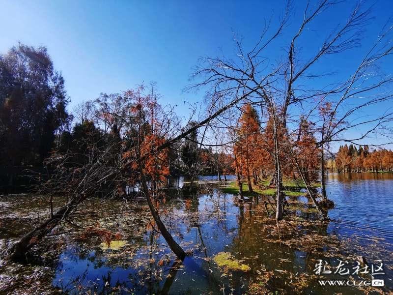 中巨芯:投资6亿投建电子化学材料项目