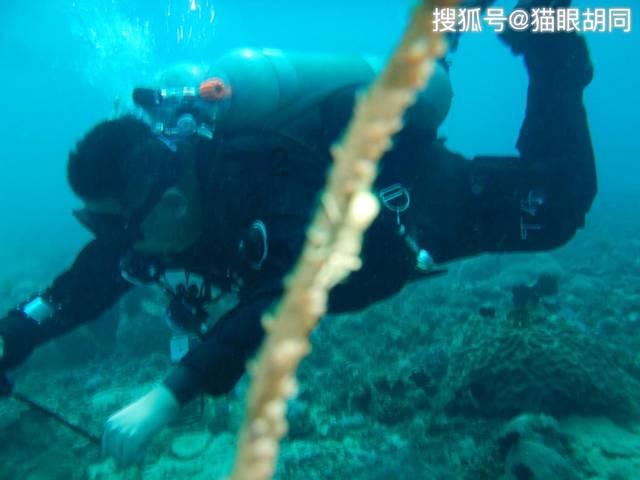 单身的好处