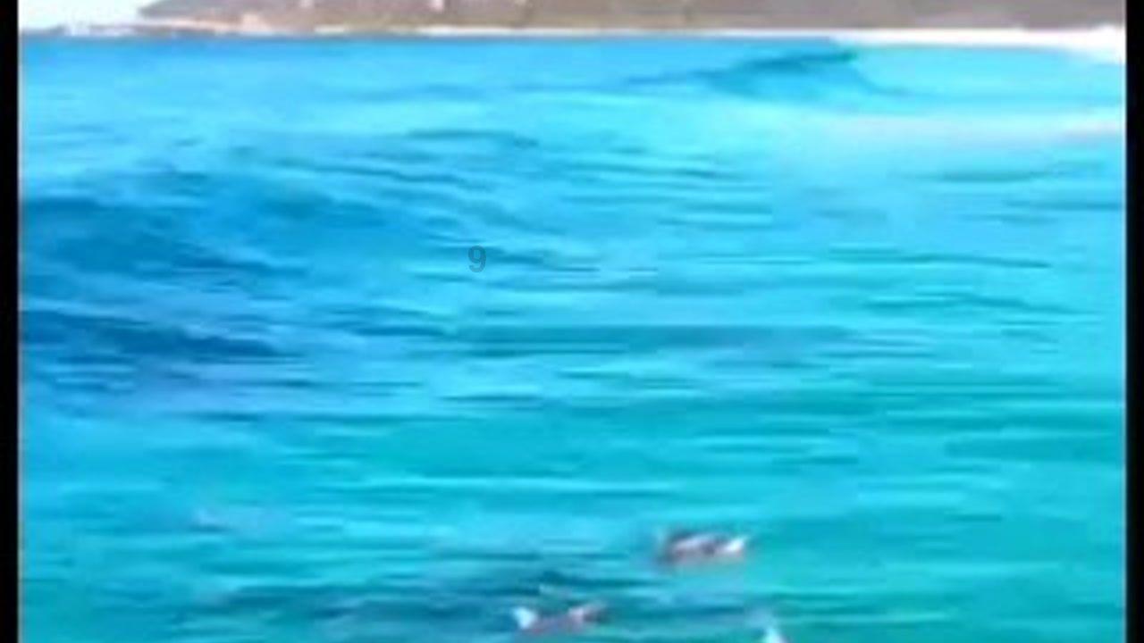 旋转飞机