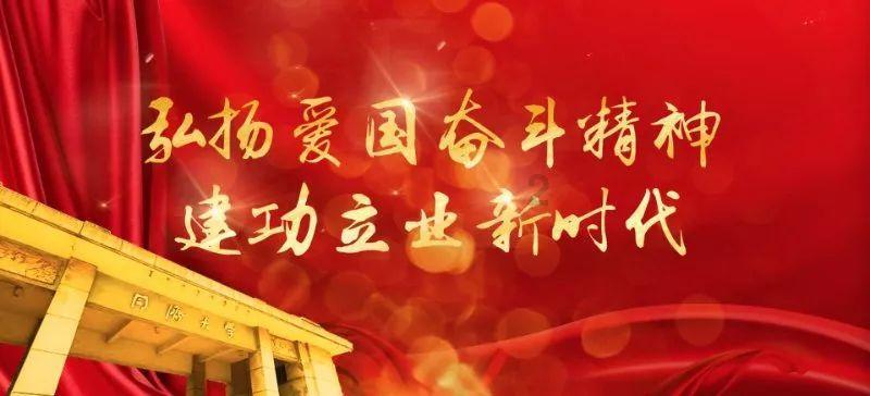 强大的狮子拼图