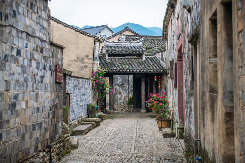 虫虫助手下载