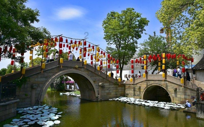 拯救精灵的土地8